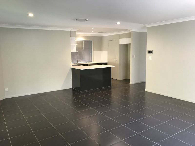 32 Riley Peter Place, Cleveland QLD 4163