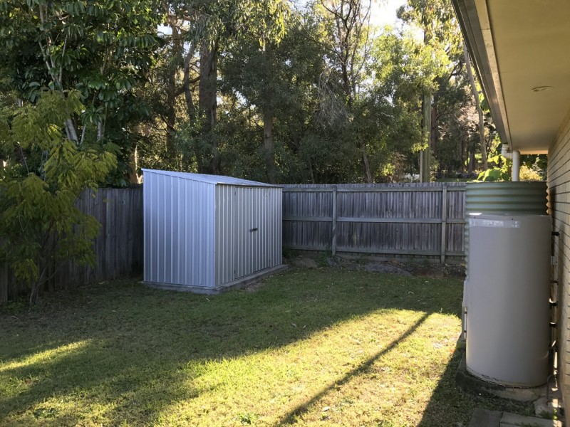 31 Adam Street, Cleveland QLD 4163