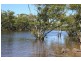 6 Morris Street, Ormiston QLD 4160