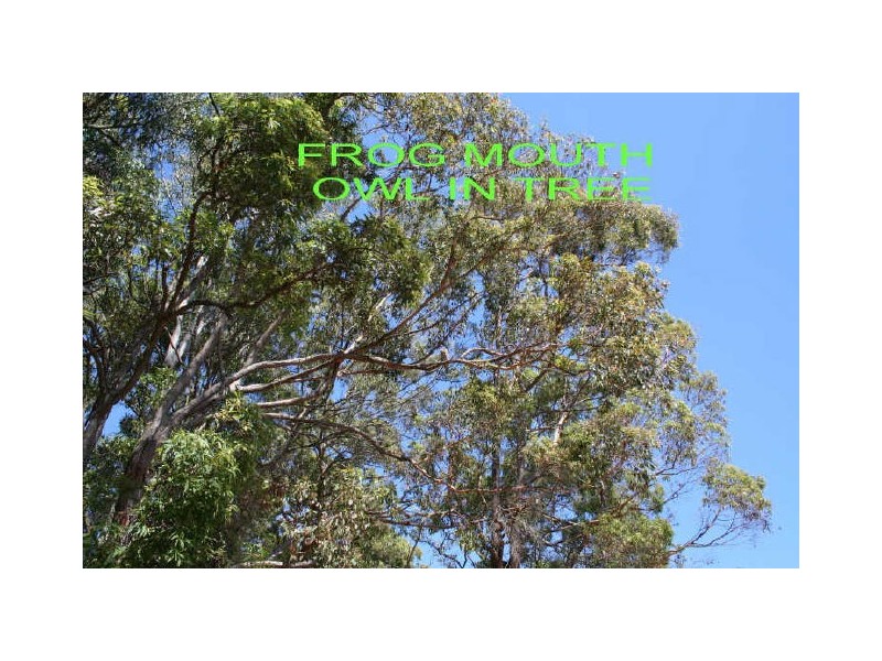 220 Princess Street, Cleveland QLD 4163