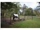 34 Haven Road, Carbrook QLD 4130