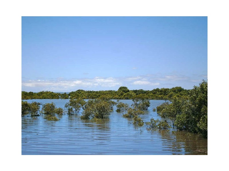 20 Muriel Street, Redland Bay QLD 4165