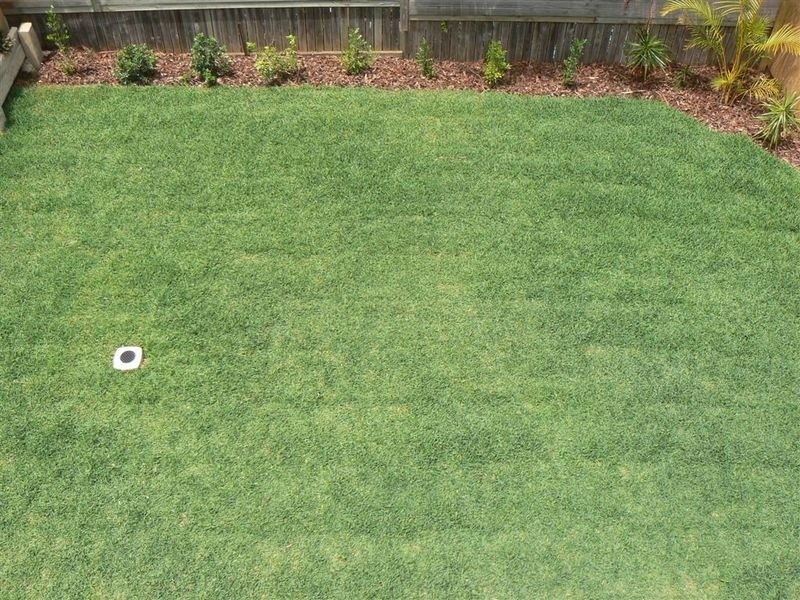 19 George Street, Ormiston QLD 4160