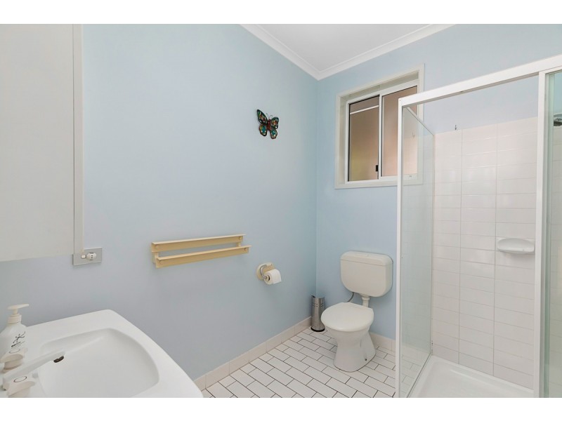 62 Whitehall Avenue, Birkdale QLD 4159