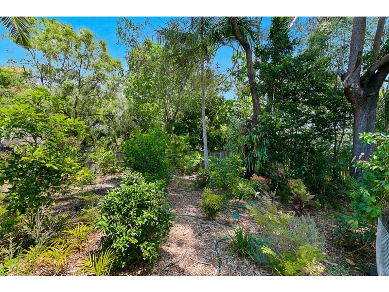 31 Elmhurst Street, Capalaba QLD 4157