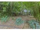 40 Elmhurst Street, Capalaba QLD 4157