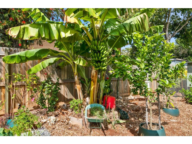 20 Sturgeon Street, Ormiston QLD 4160