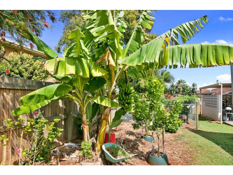 20 Sturgeon Street, Ormiston QLD 4160