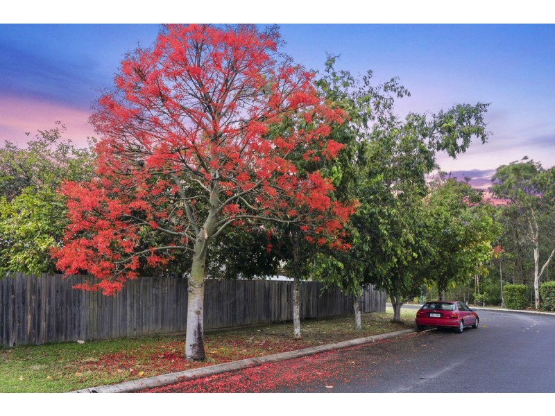 5 Windsong Circuit, Cleveland QLD 4163