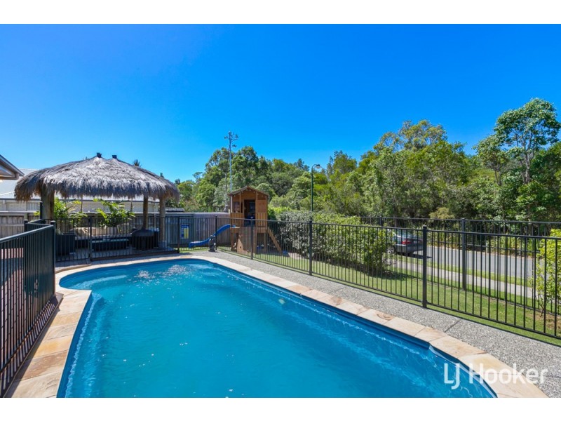 23 Parkgrove Street, Birkdale QLD 4159