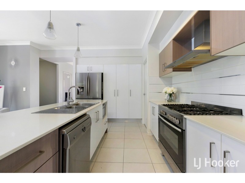 23 Parkgrove Street, Birkdale QLD 4159