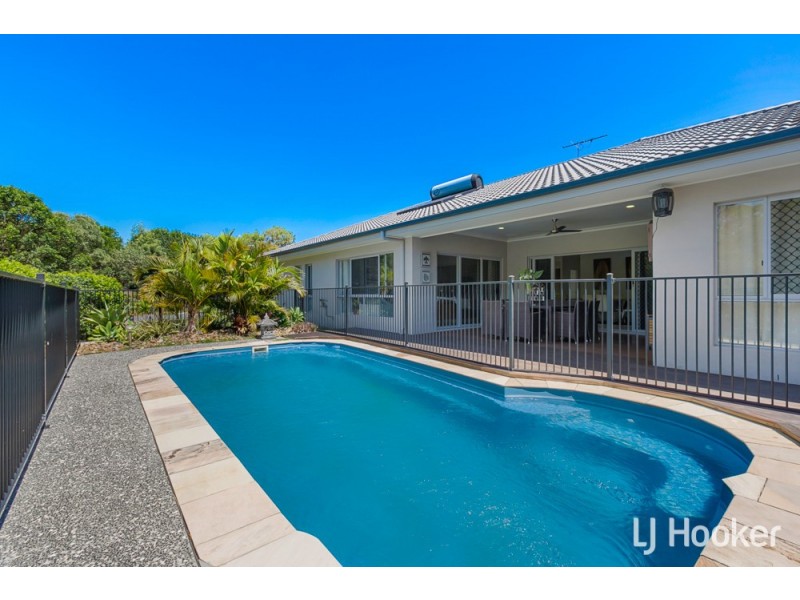 23 Parkgrove Street, Birkdale QLD 4159