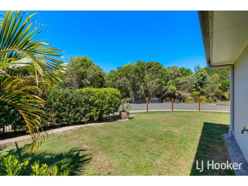 23 Parkgrove Street, Birkdale QLD 4159