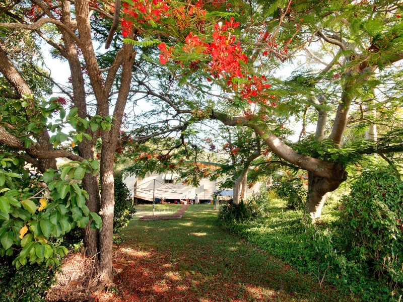 52-56 Shore Street East, Cleveland QLD 4163