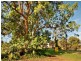 52-56 Shore Street East, Cleveland QLD 4163