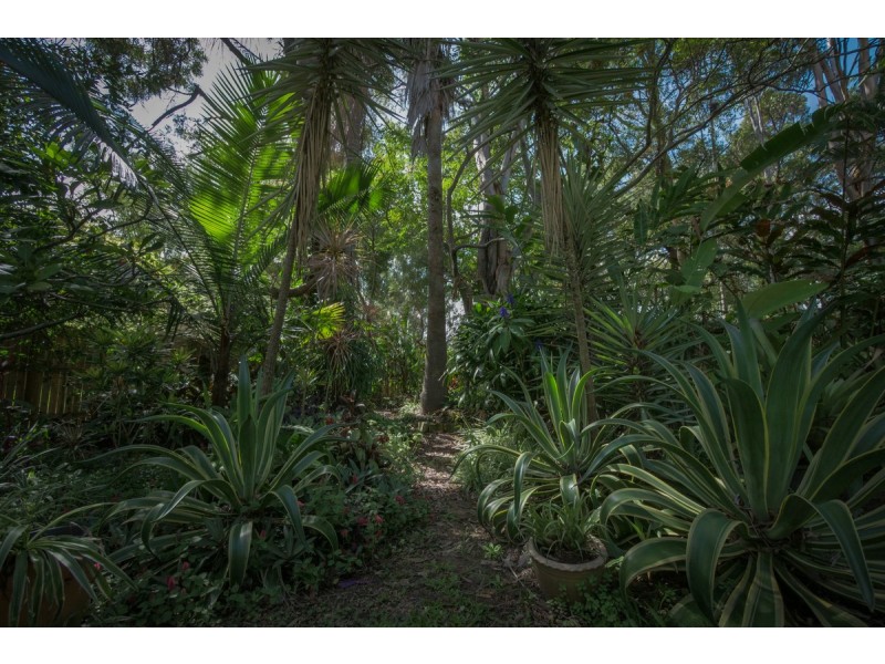 3 Counsel Street, Cleveland QLD 4163