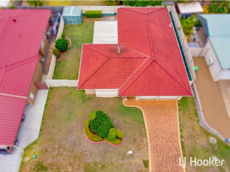 14 Walnut Court, Birkdale QLD 4159