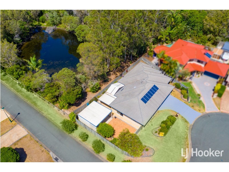 11 Janine Place, Birkdale QLD 4159