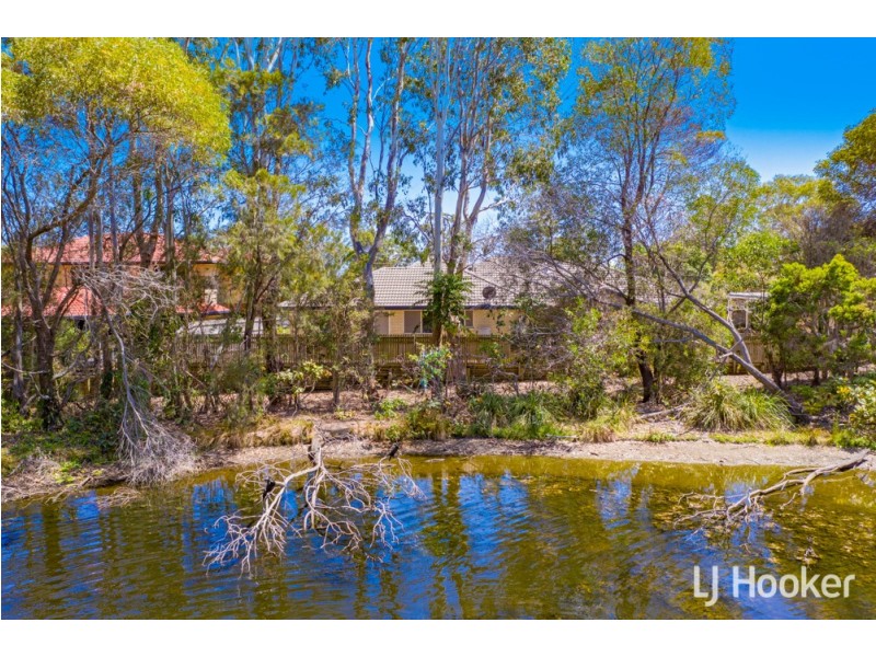 11 Janine Place, Birkdale QLD 4159