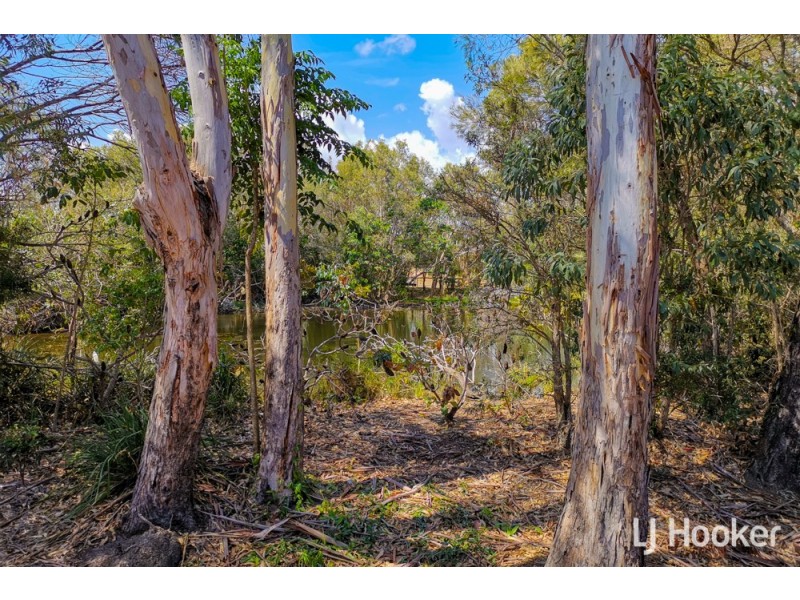 11 Janine Place, Birkdale QLD 4159