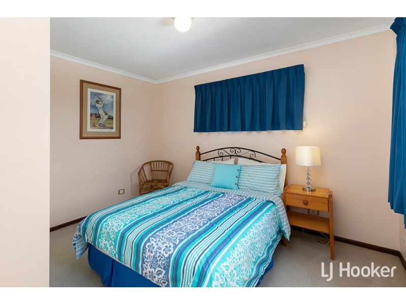 23 Dell Street, Cleveland QLD 4163