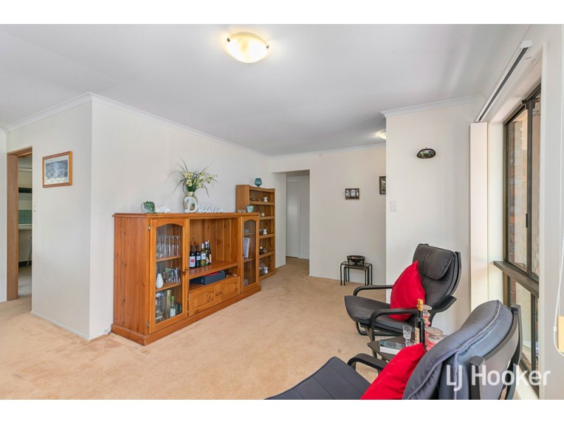 15 Borrowdale Street, Alexandra Hills QLD 4161