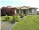81 Carinyan Drive, Birkdale QLD 4159