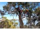 21 Cliff Terrace, Macleay Island QLD 4184