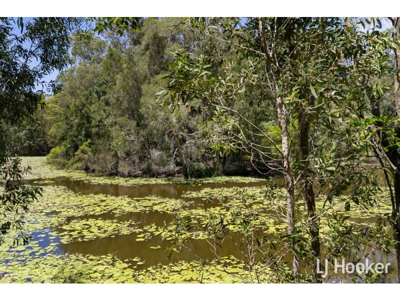 19 Ethel Street, Wellington Point QLD 4160