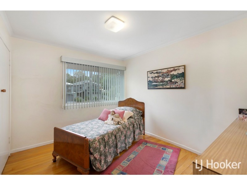 17 Claremont Street, Birkdale QLD 4159