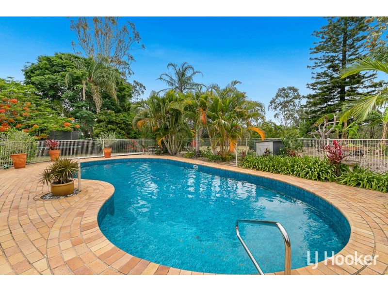 21 Catherine Street, Birkdale QLD 4159