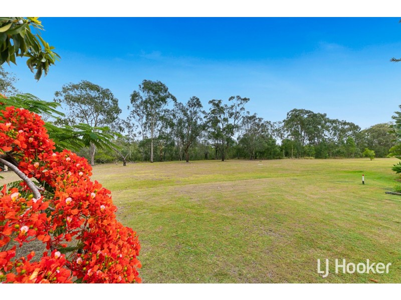 21 Catherine Street, Birkdale QLD 4159