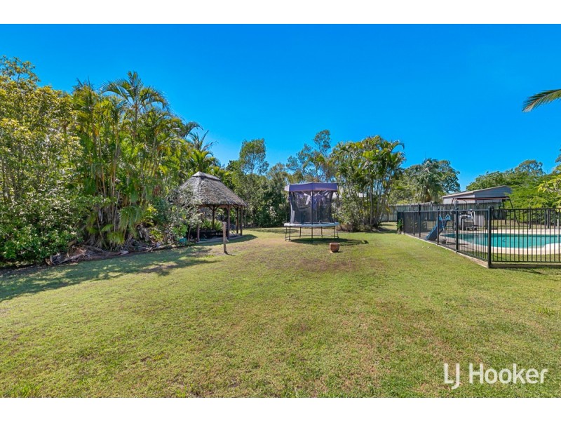 63 Whitehall Avenue, Birkdale QLD 4159