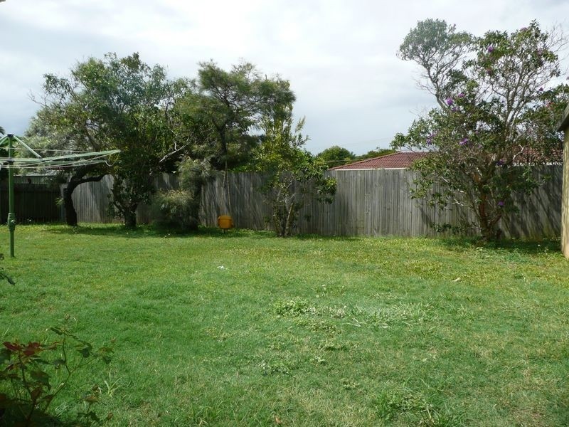 14 McCullagh Street, Cleveland QLD 4163