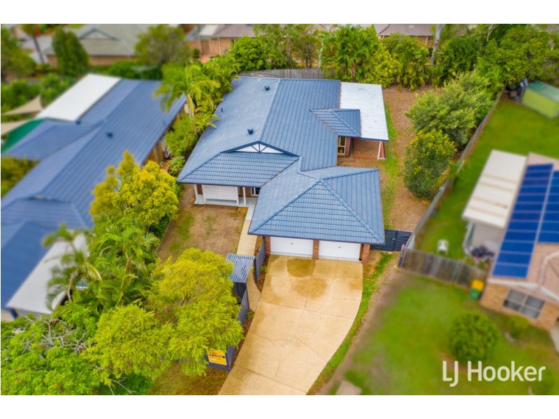 5 Finnegan Court, Birkdale QLD 4159