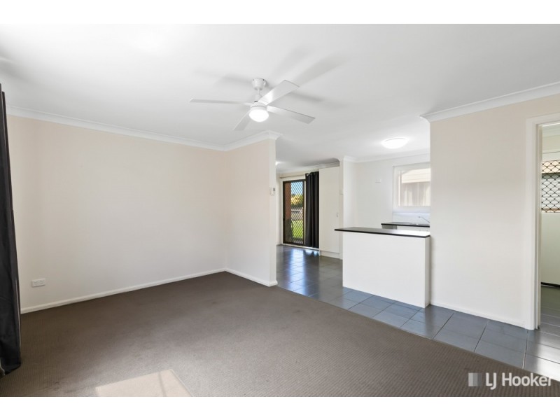 19 Colburn Street, Cleveland QLD 4163