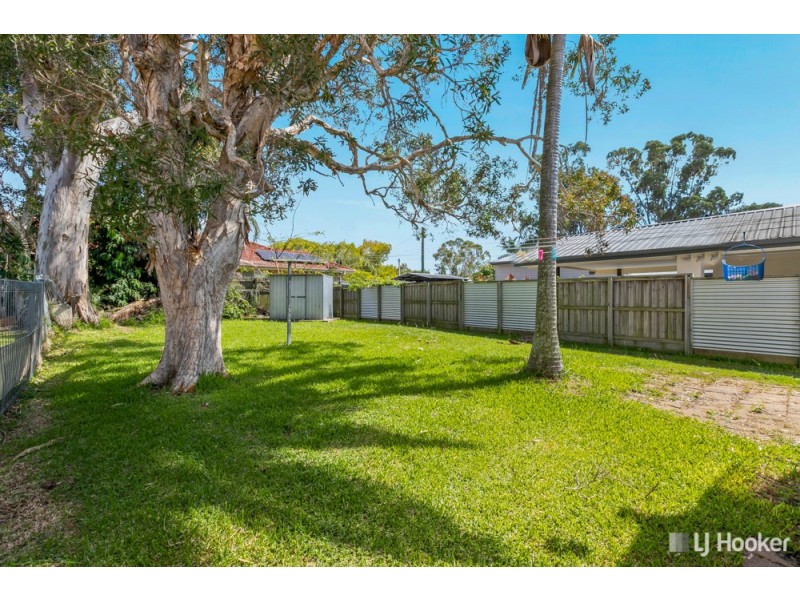 19 Colburn Street, Cleveland QLD 4163