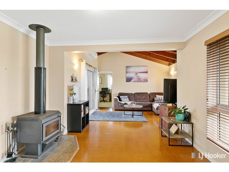 10 Karen Street, Cleveland QLD 4163