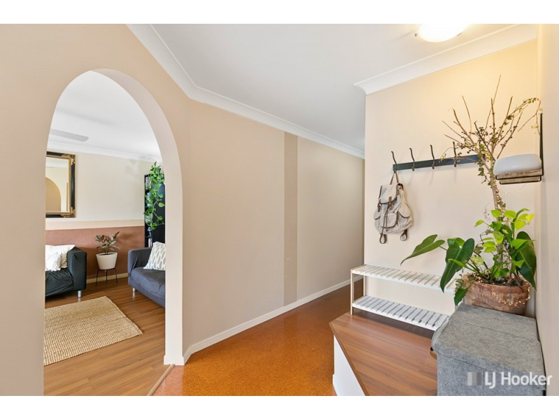 10 Karen Street, Cleveland QLD 4163