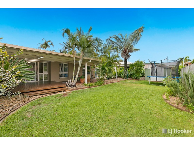 10 Karen Street, Cleveland QLD 4163