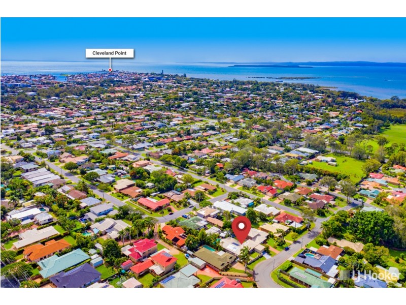 10 Karen Street, Cleveland QLD 4163