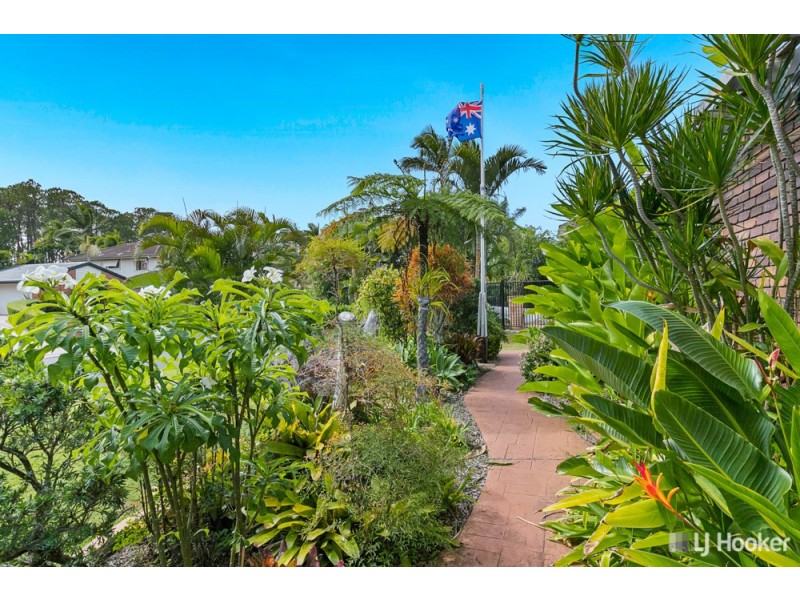 1 Swordfish Court, Birkdale QLD 4159