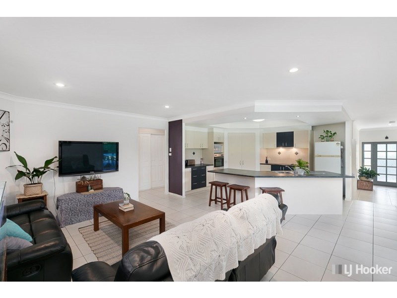 2 Aphrodite Court, Cleveland QLD 4163