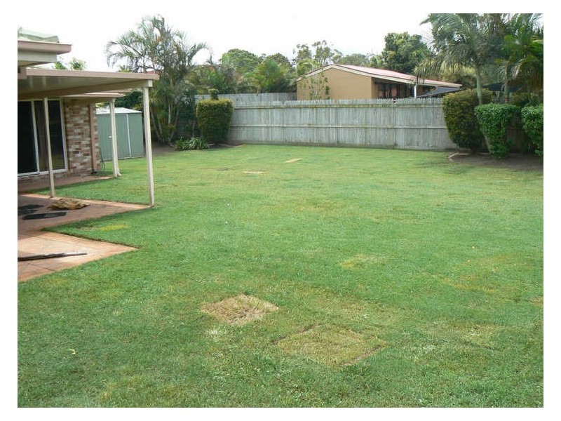 17 Banstead Street, Birkdale QLD 4159