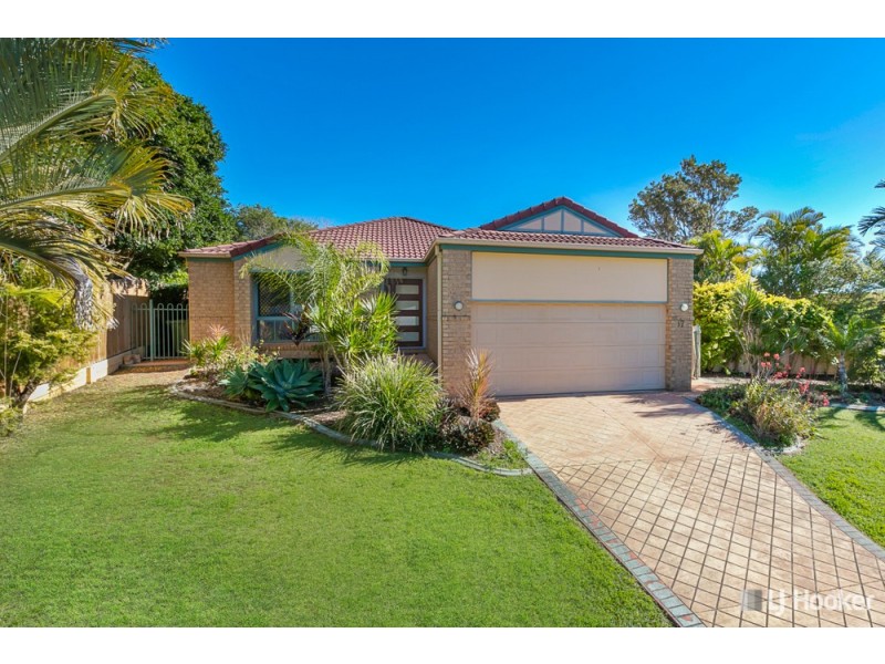 17 Burbank Road, Birkdale QLD 4159