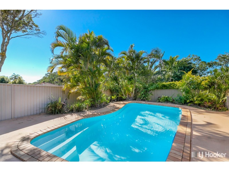 17 Burbank Road, Birkdale QLD 4159