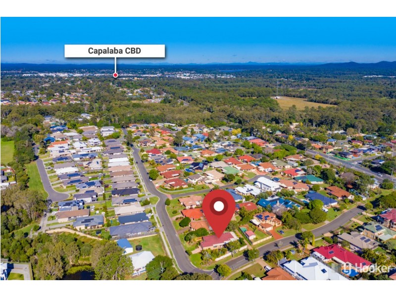 17 Burbank Road, Birkdale QLD 4159