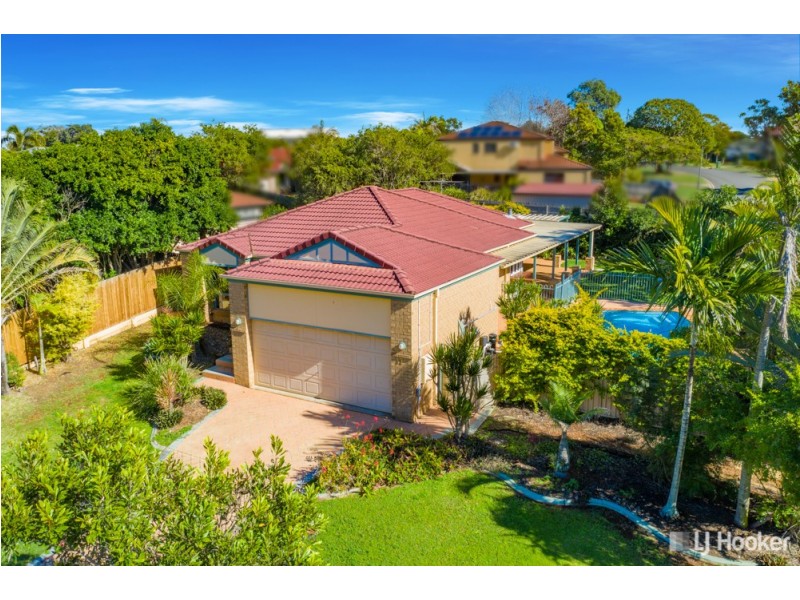 17 Burbank Road, Birkdale QLD 4159