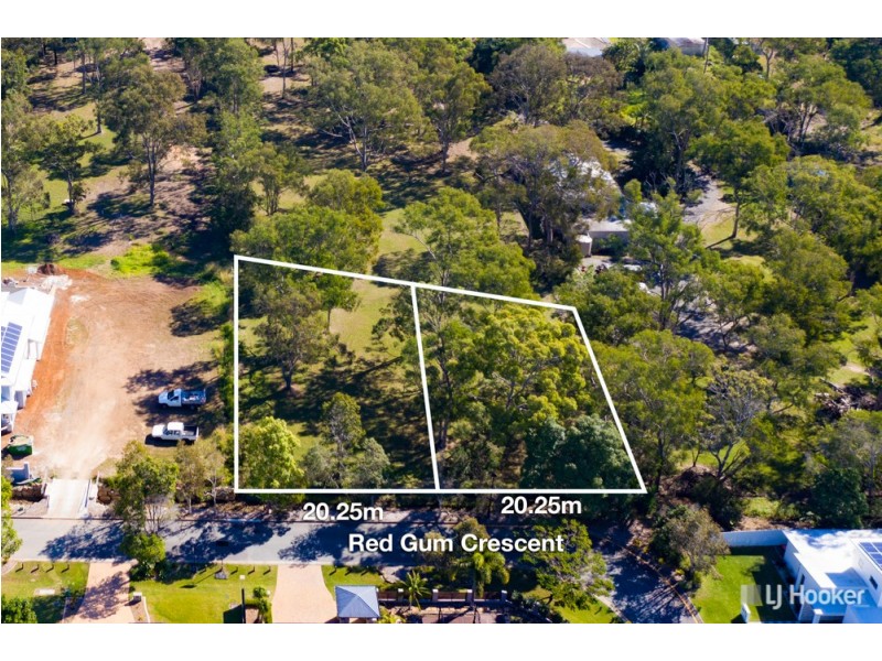 100 Tilley Road, Wakerley QLD 4154