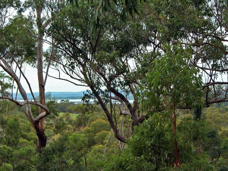 598 German Church Road, Redland Bay QLD 4165